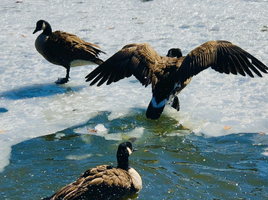 IMG_5294.jpg?type=w966