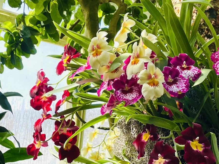 IMG_6414.jpg?type=w966