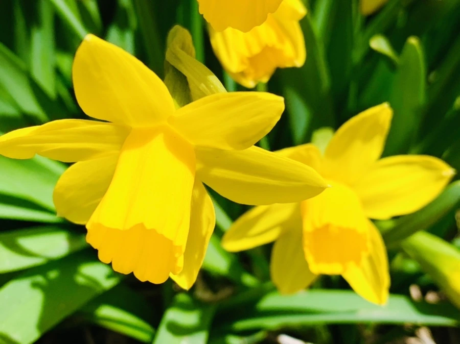 IMG_3254.jpg?type=w966