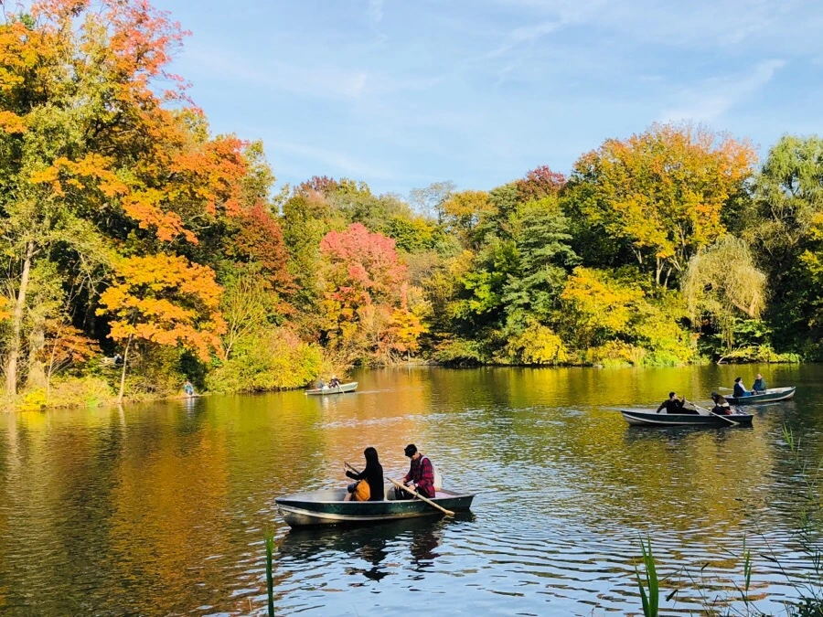 IMG_7212.jpg?type=w966