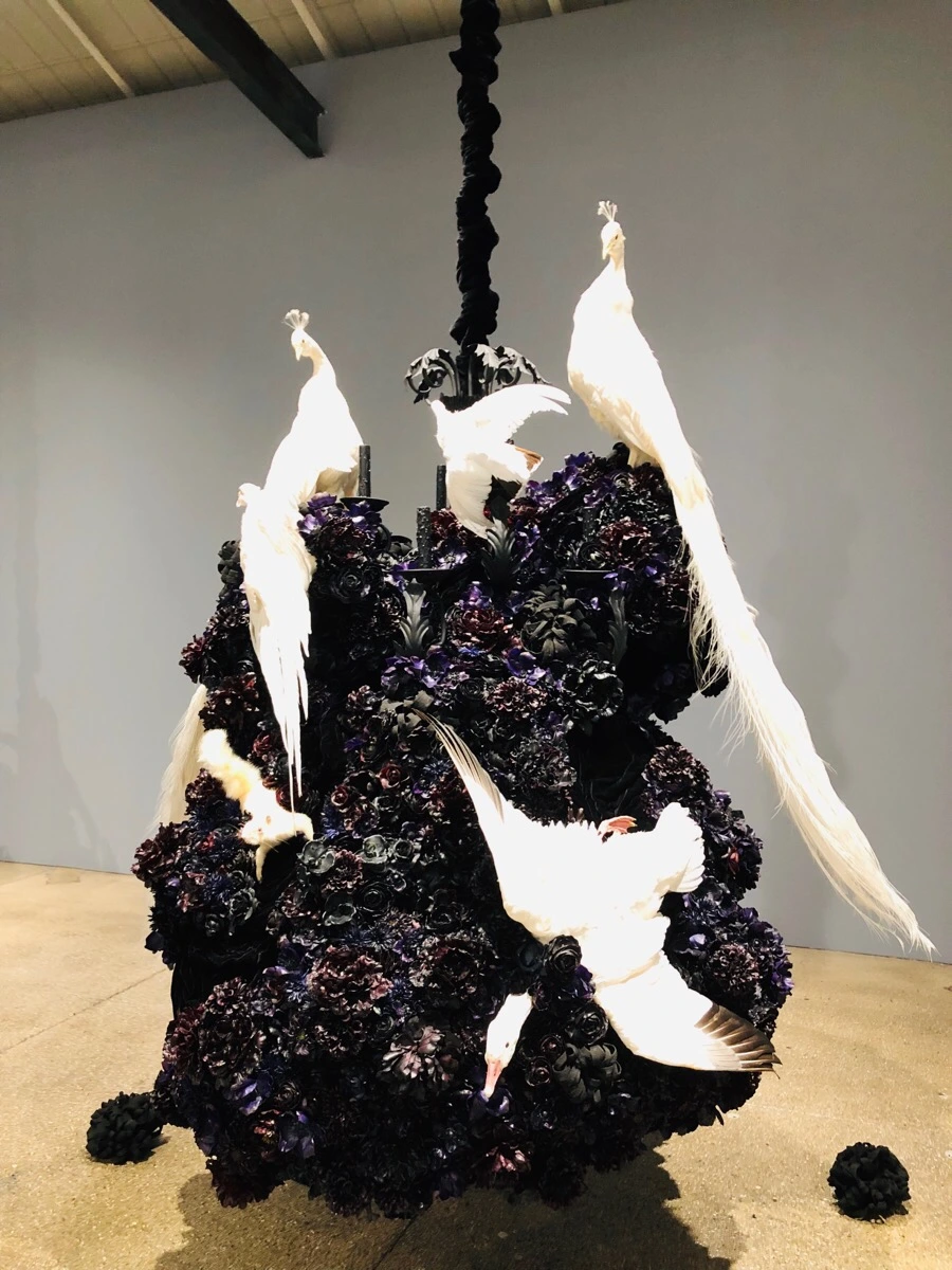 IMG_6700.jpg?type=w966