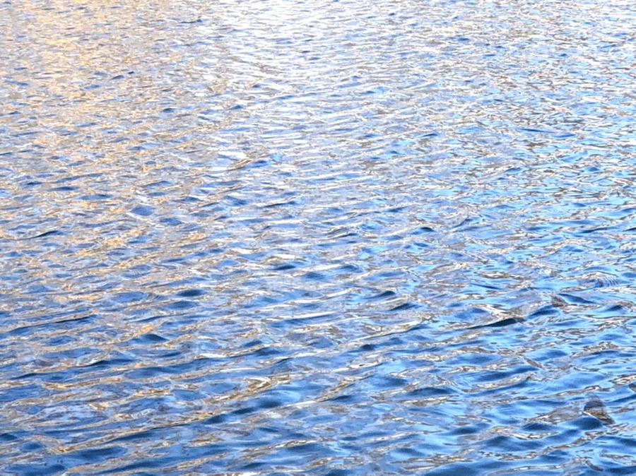 IMG_4018.jpg?type=w966