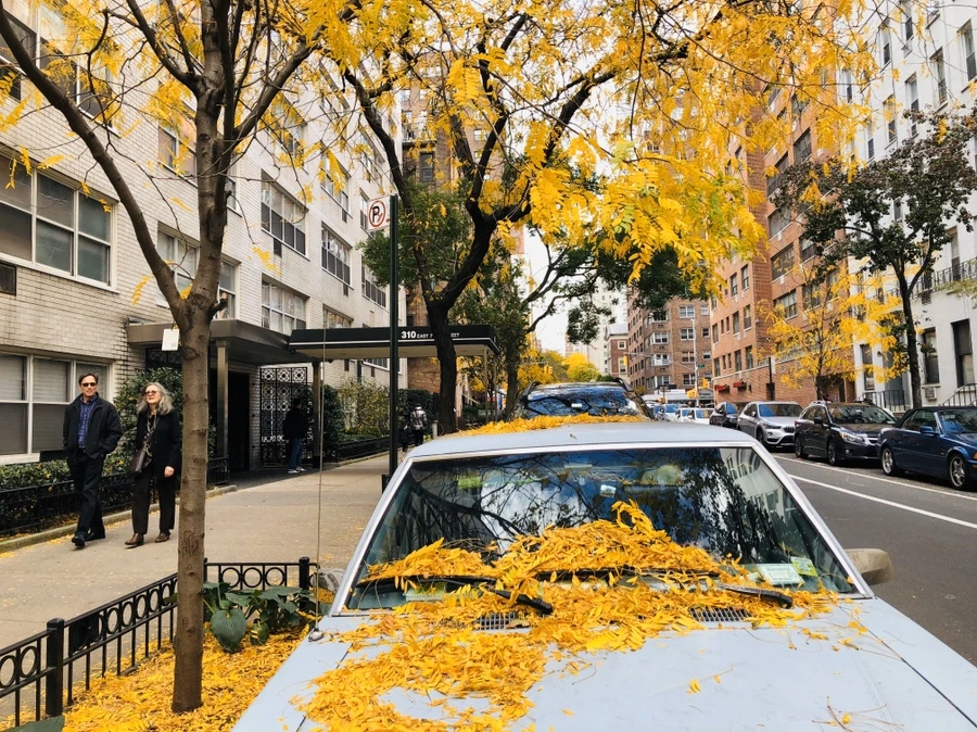 IMG_1810.jpg?type=w966