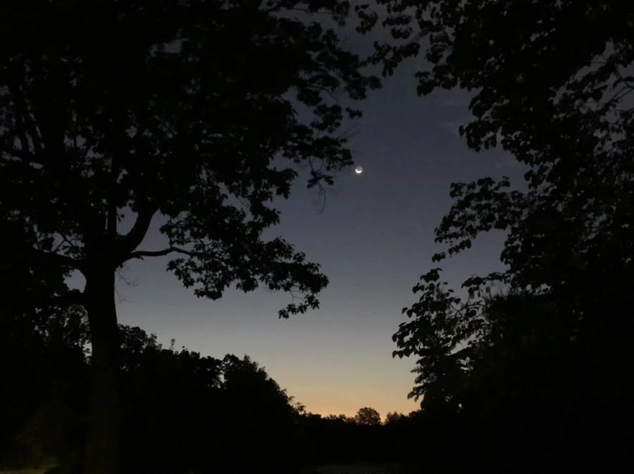 IMG_7350.jpg?type=w966