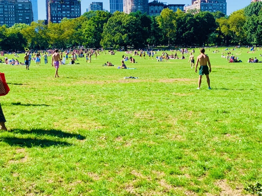 IMG_7620.jpg?type=w966