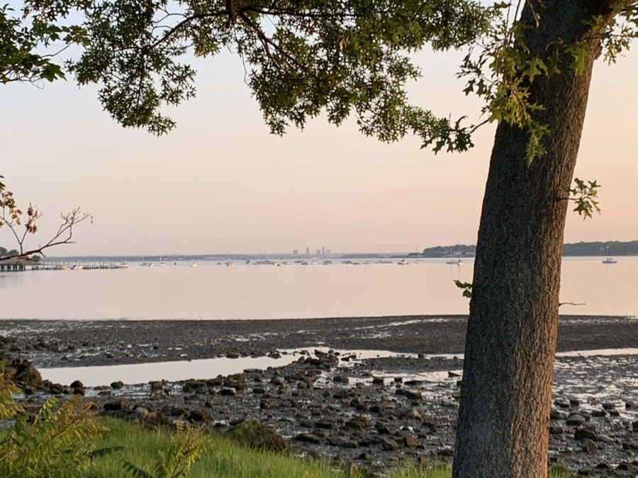 IMG_9580.jpg?type=w966