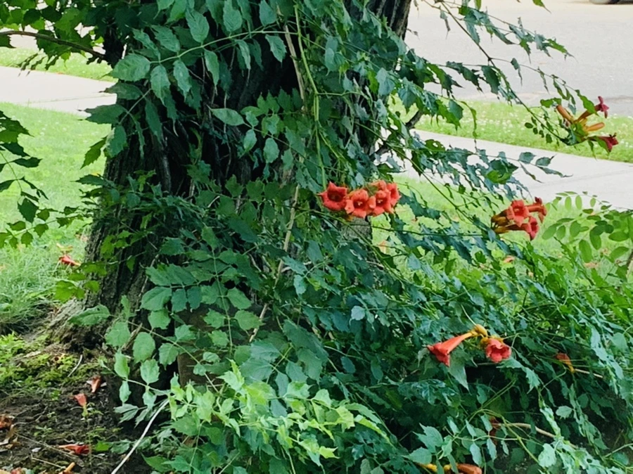 IMG_0901.jpg?type=w966