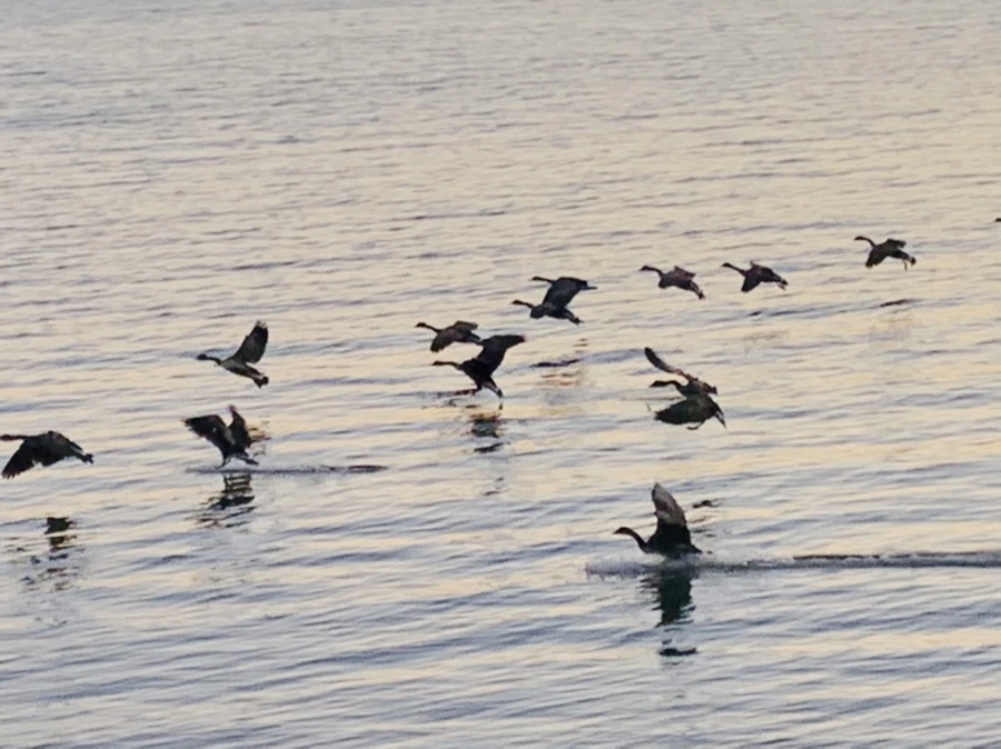 IMG_9458.jpg?type=w966