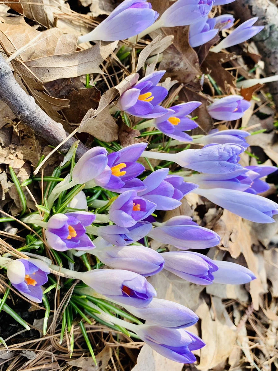 IMG_0123.jpg?type=w966