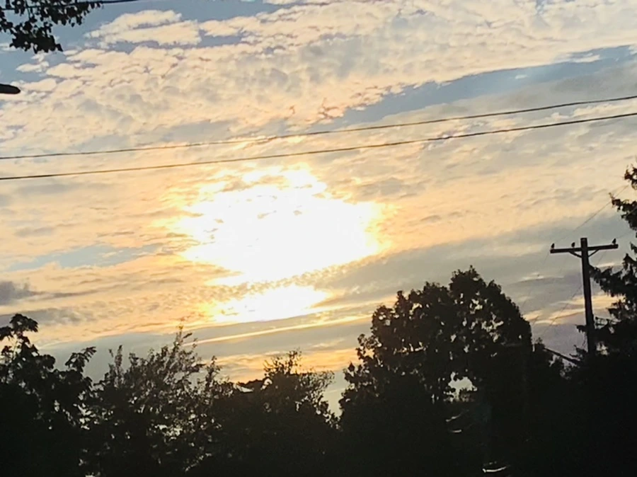 IMG_7713.jpg?type=w966