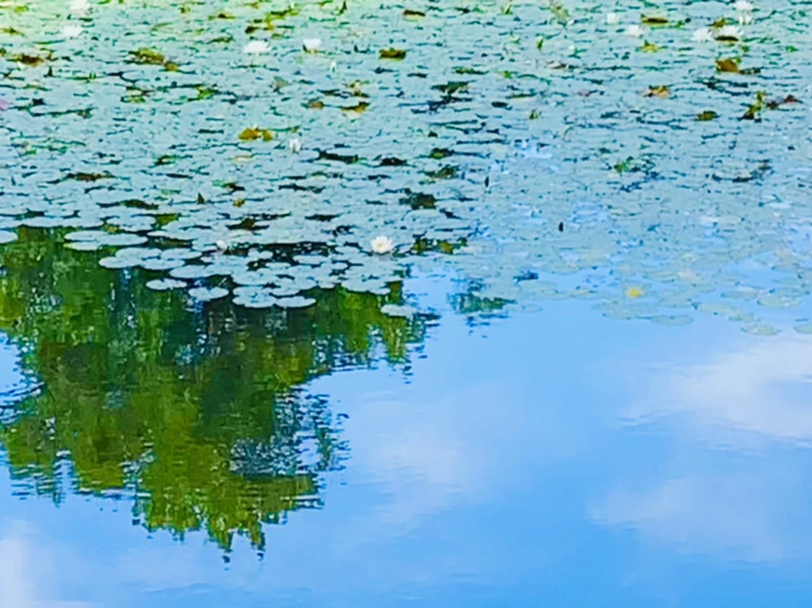 IMG_9299.jpg?type=w966