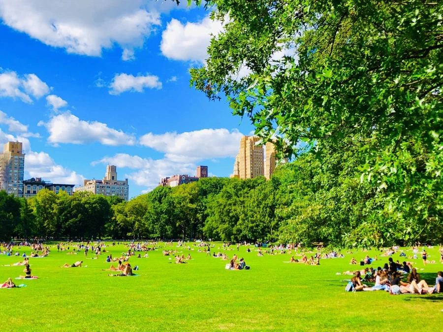 IMG_8863.jpg?type=w966