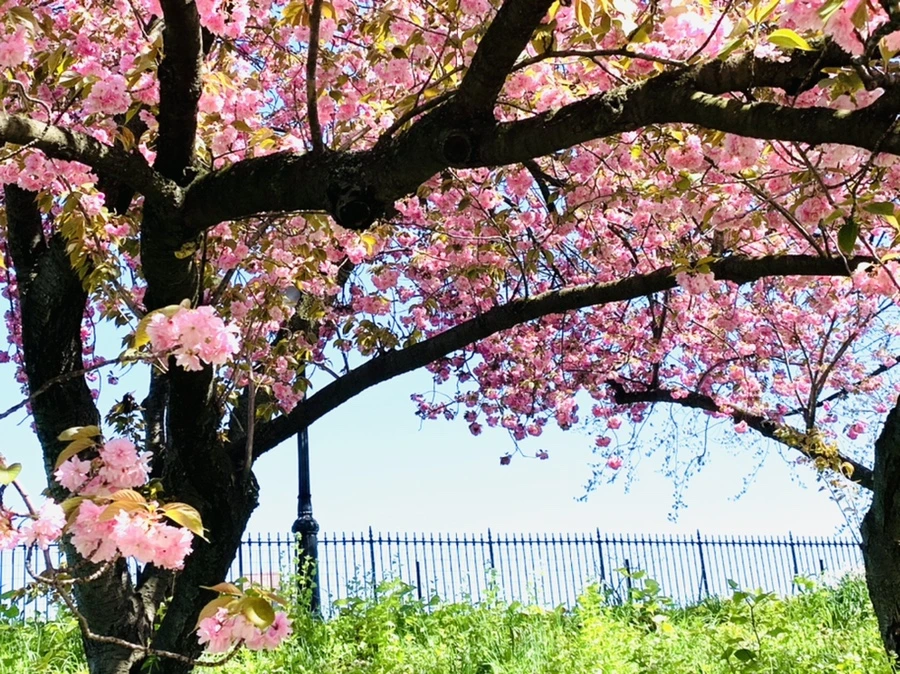 IMG_5845.jpg?type=w966