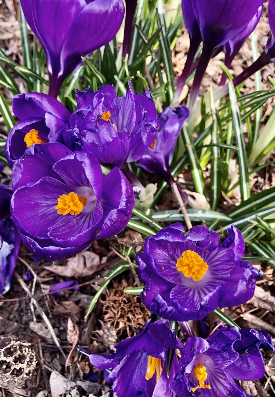 IMG_6025.jpg?type=w966