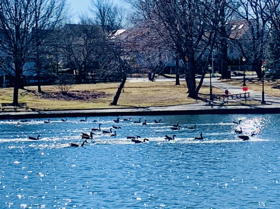 IMG_7589.jpg?type=w966