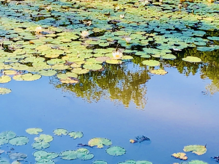 IMG_4273.jpg?type=w966