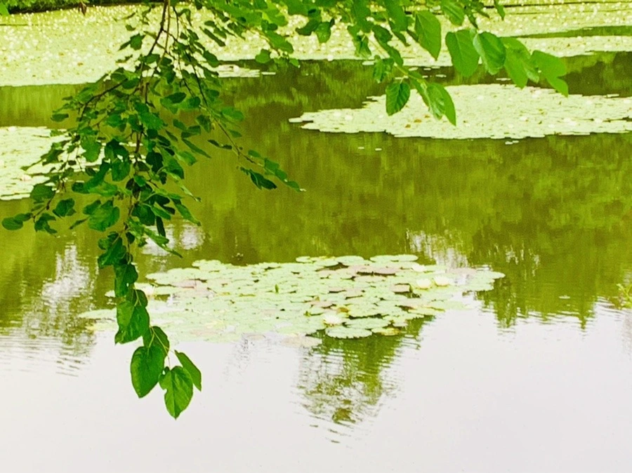 6iHgmQtPLr9R4543CH7WLqBtZ8g