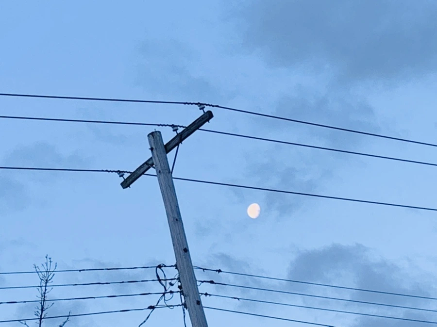 IMG_7502.jpg?type=w966