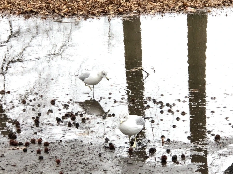 DzMwMhcRvgpmkO7GXpUVPDS-YWw