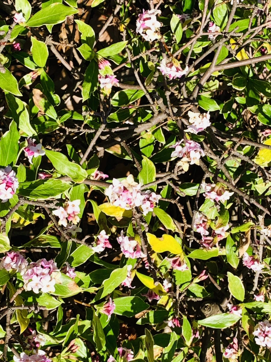 IMG_5775.jpg?type=w966