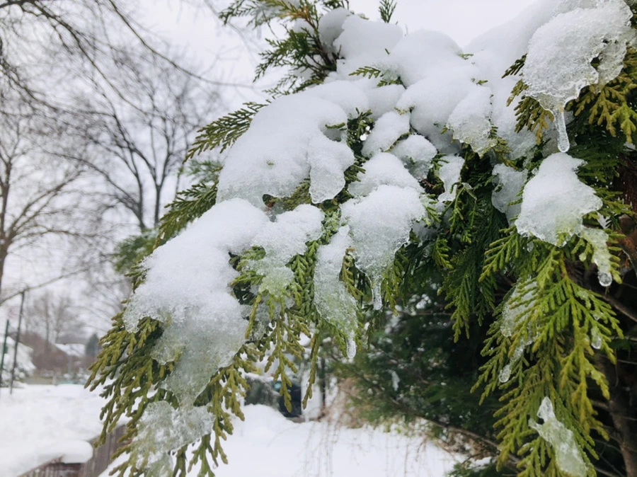 IMG_9051.jpg?type=w966