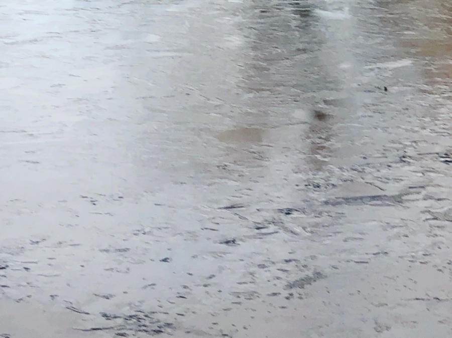 IMG_0821.jpg?type=w966