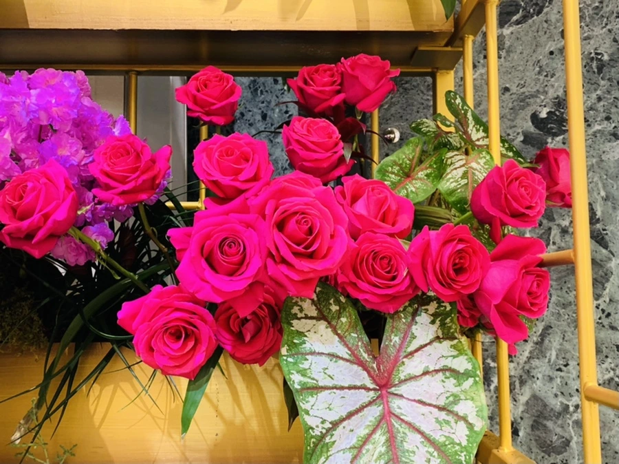 IMG_1596.jpg?type=w966