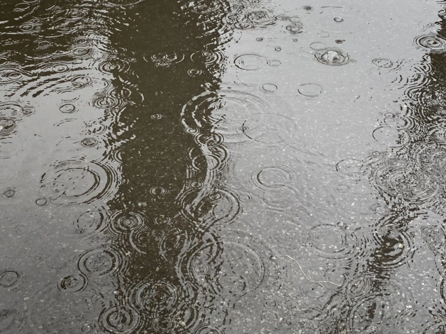 IMG_2029.jpg?type=w966