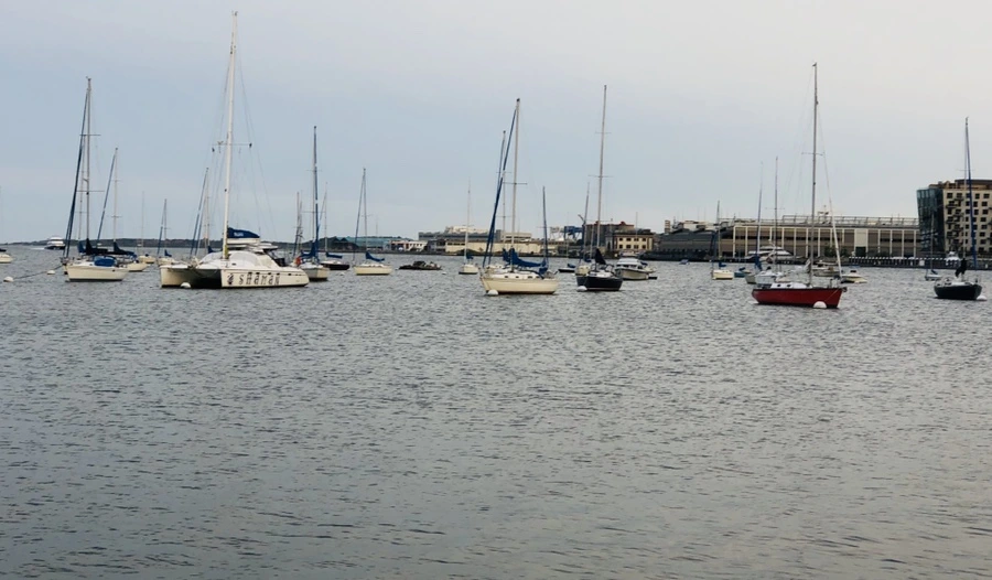 IMG_0686.jpg?type=w966