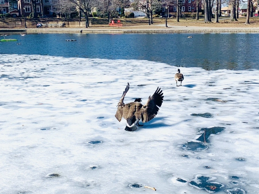 IMG_6908.jpg?type=w966