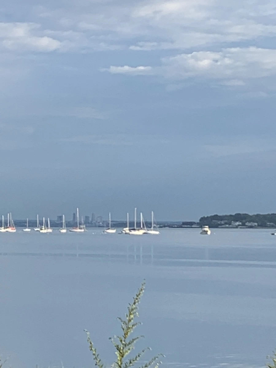 IMG_7764.jpg?type=w966