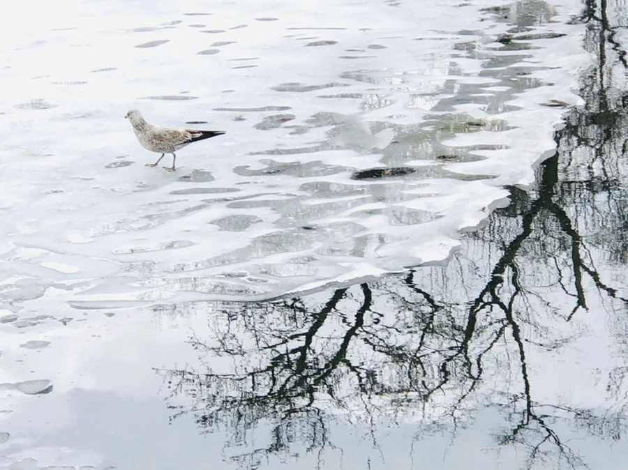 IMG_6515.jpg?type=w966