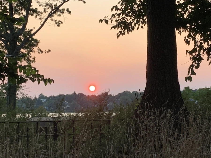 IMG_3417.jpg?type=w966