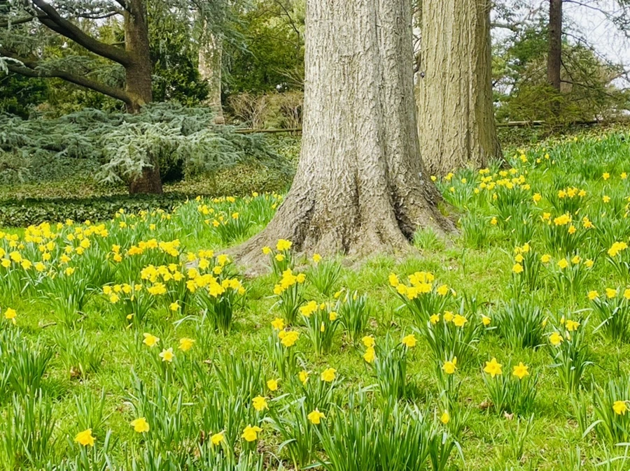 IMG_6724.jpg?type=w966