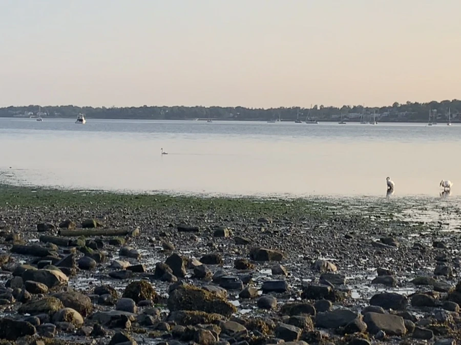 IMG_9777.jpg?type=w966