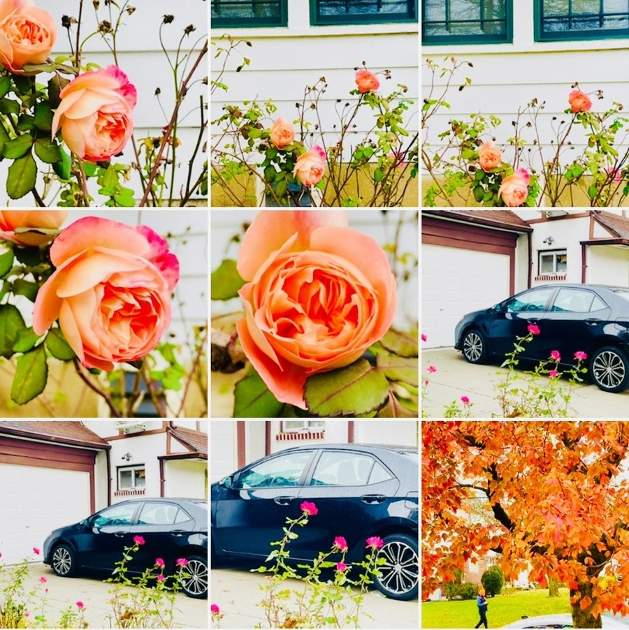 WB9t4JLX10oMfWiOAwcDixsgq9c