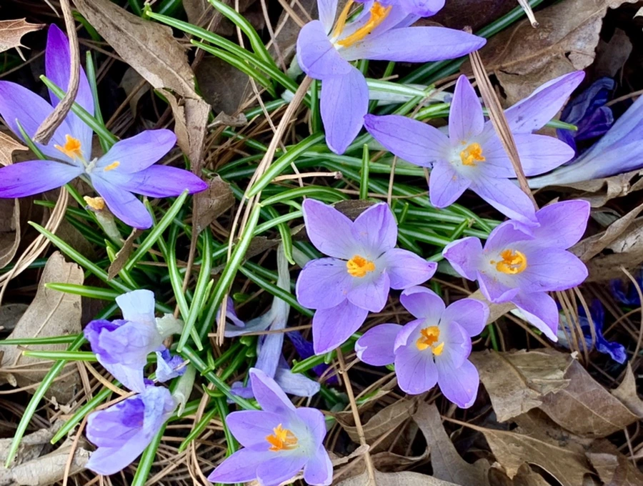 IMG_1270.jpg?type=w966