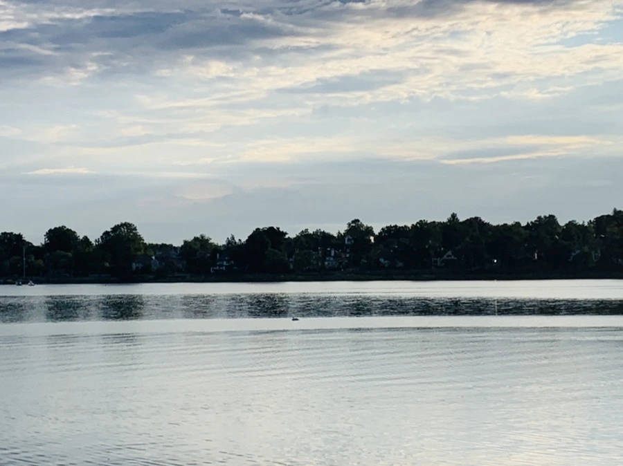 IMG_7731.jpg?type=w966