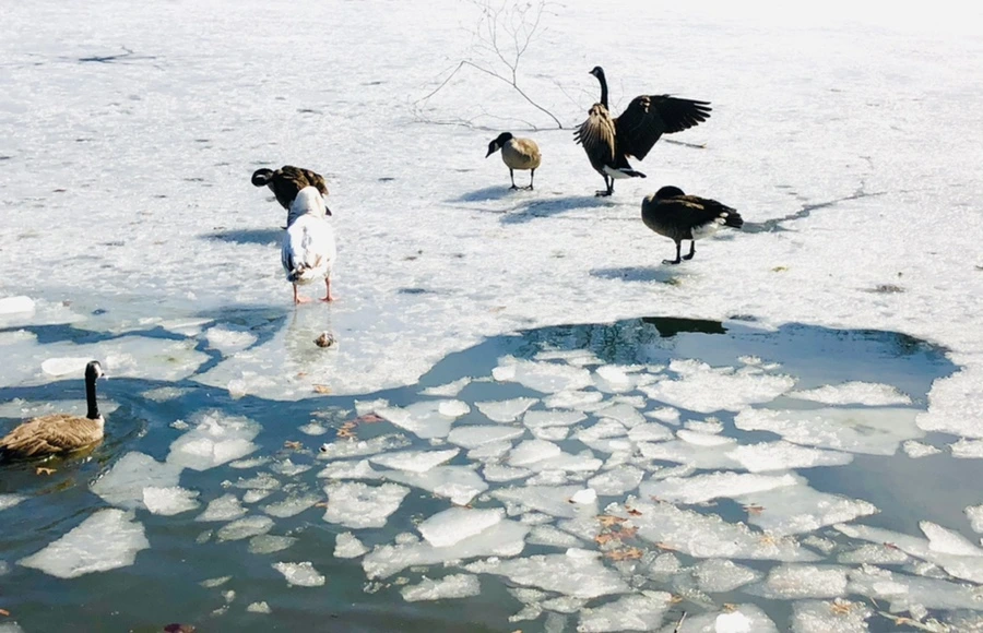 IMG_5436.jpg?type=w966