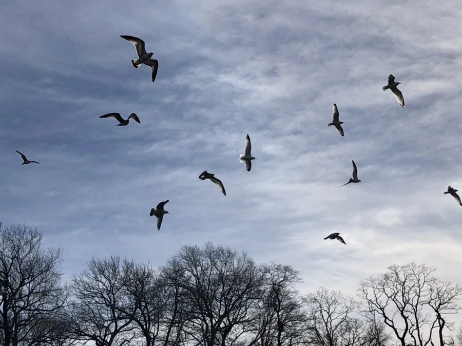 5OmIUpsjxKHNnt_sDlhHDG-vXo0