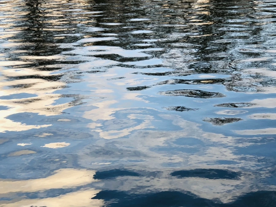 IMG_4415.jpg?type=w966