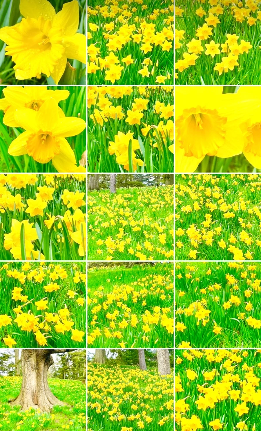 IMG_7599.jpg?type=w966