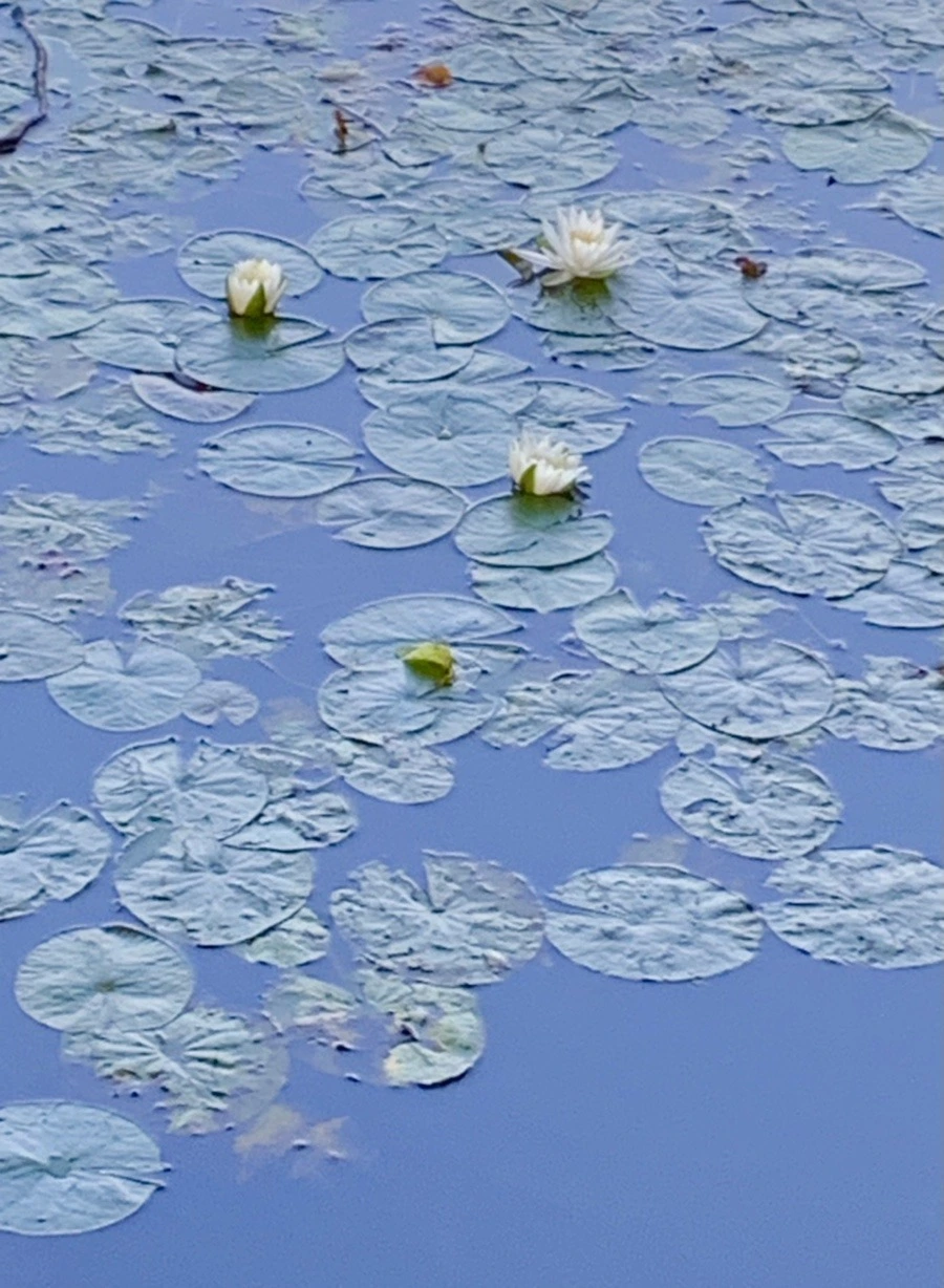 cs7dQDdCfOAJU_ycPBqvMXZUuLE