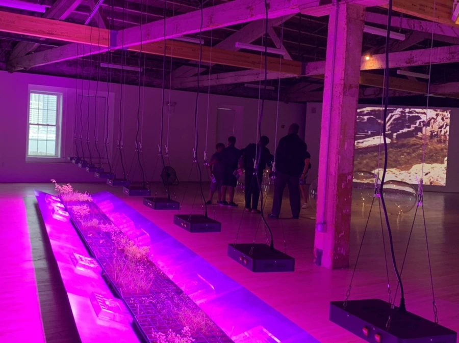 IMG_6792.jpg?type=w966