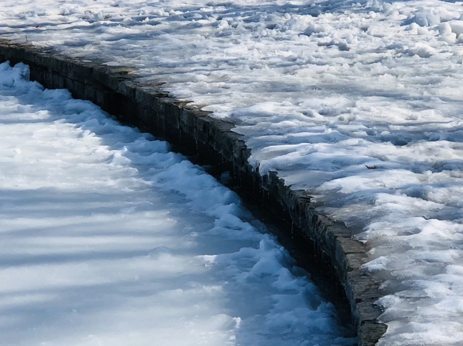 IMG_2983.jpg?type=w966