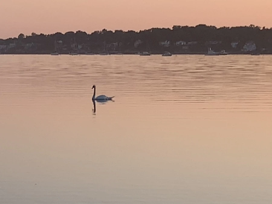 IMG_0186.jpg?type=w966