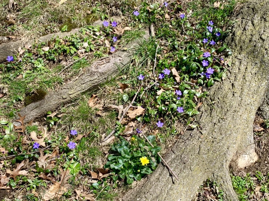 IMG_4509.jpg?type=w966