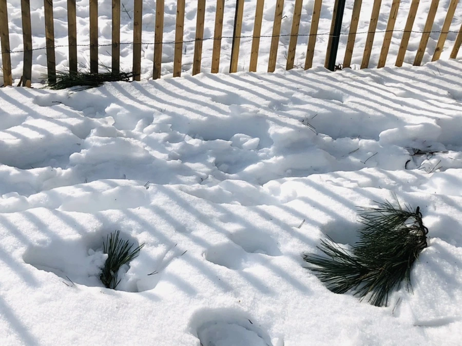 IMG_0139.jpg?type=w966