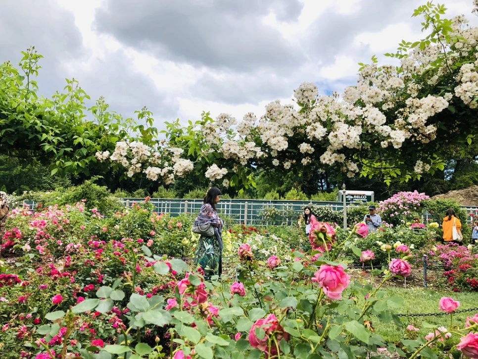 IMG_5973.jpg?type=w966