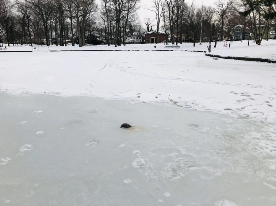 IMG_2616.jpg?type=w966